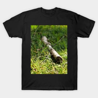 A twig - thin branch of a tree T-Shirt